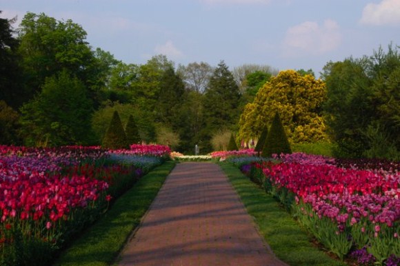image-35